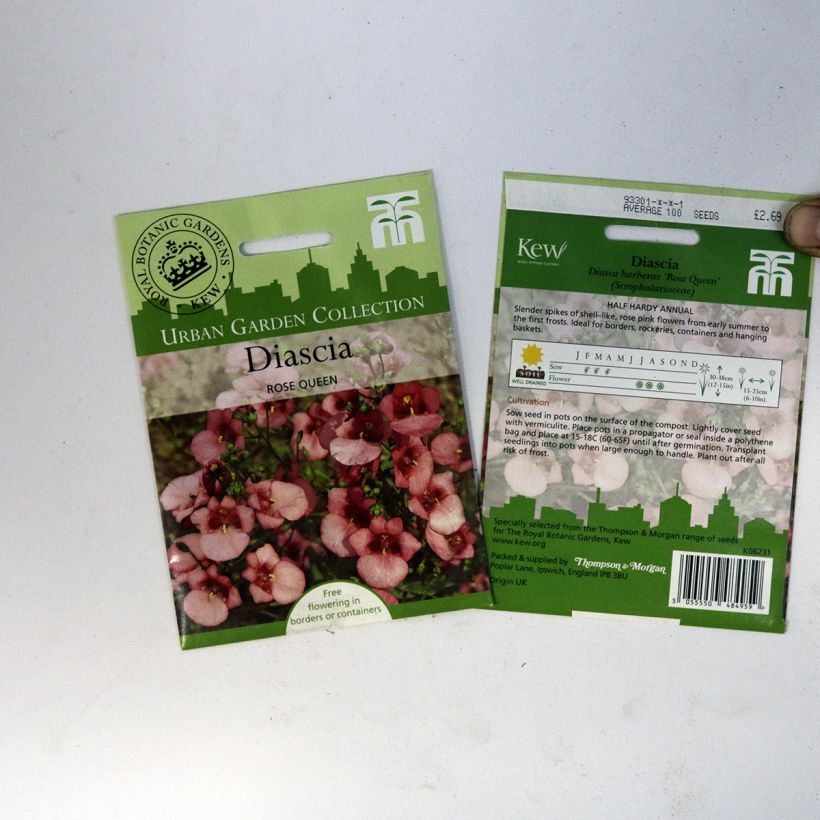 Example of Graines de Diascia barberae Rose Queen - Diascie rose per pack of 550 seeds (0,15g) as you get