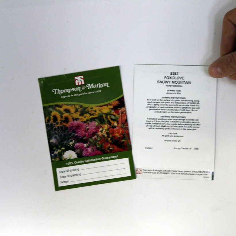 Voorbeeld van een exemplaar van Digitalis purpurea Snowy Mountain (zaad) - Vingerhoedskruid het zakje met 40 zaden zoals geleverd