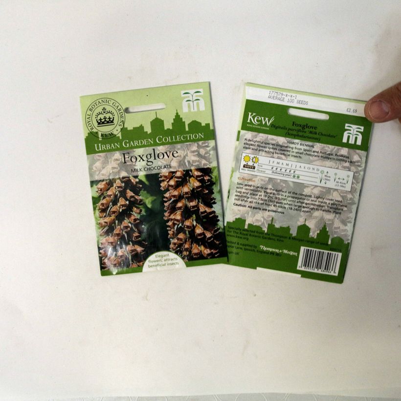 Voorbeeld van een exemplaar van Digitalis parviflora Milk Chocolate (zaad) - Vingerhoedskruid het zakje met 100 zaden zoals geleverd