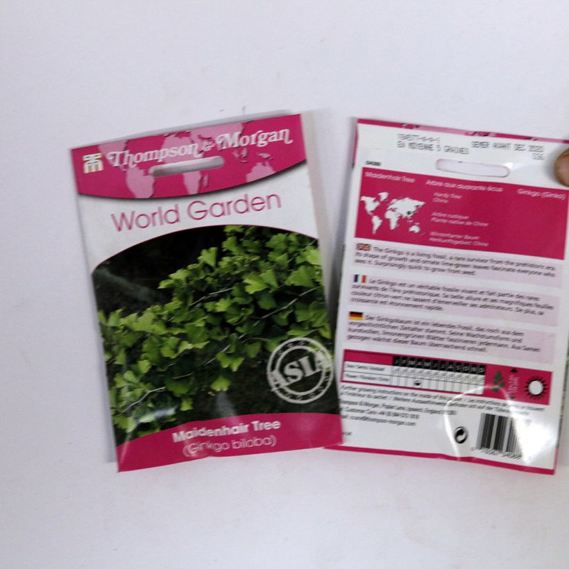 Example of Ginkgo biloba (zaad) - Japanse notenboom per pack of 5 seeds (6g) as you get