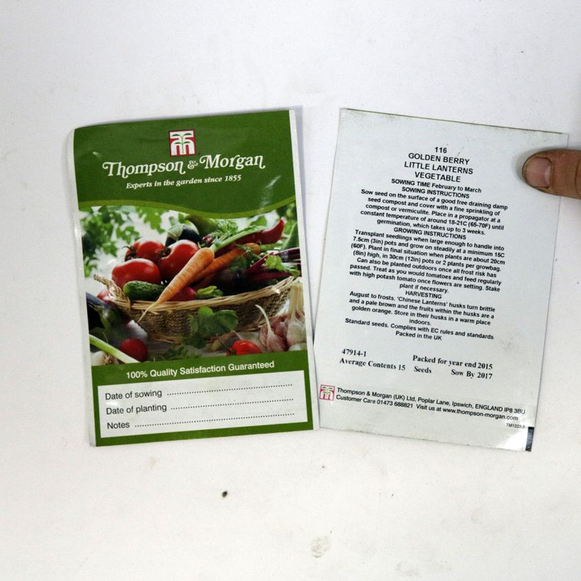 Voorbeeld van een exemplaar van Physalis peruviana Golden Berry Little Lanterns (zaad) - Kaapse kruisbes het zakje met 15 zaden zoals geleverd