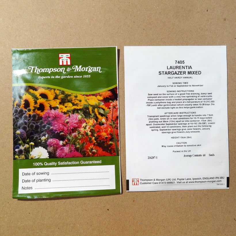 Voorbeeld van een exemplaar van Laurentia Stargazer Mixed (zaad) het zakje met 60 zaden zoals geleverd