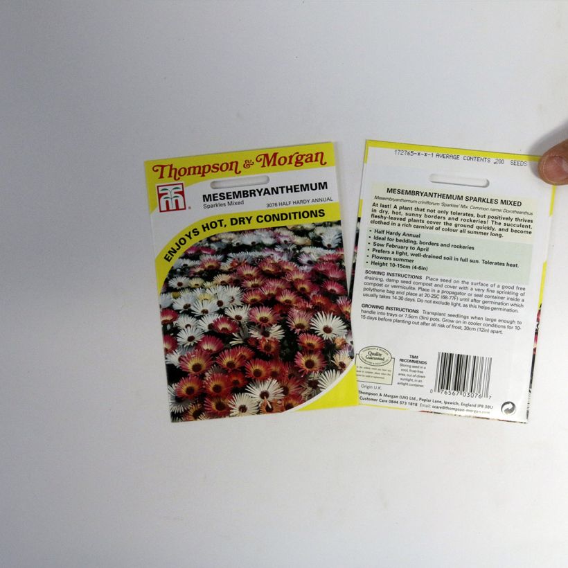 Voorbeeld van een exemplaar van Mesembryanthemum criniflorum Sparkles Mix(zaad) - IJsbloempje het zakje met 200 zaden zoals geleverd