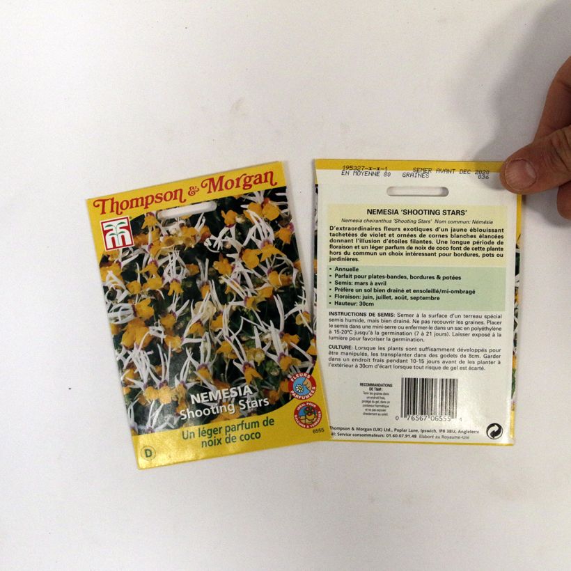 Voorbeeld van een exemplaar van Nemesia cheiranthus Shooting Stars (zaad) - Elfenspiegel het zakje zaden van 0.012 gram zoals geleverd