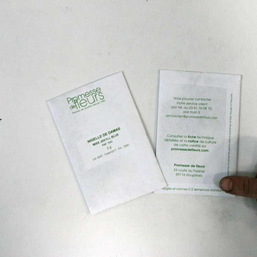 Example of Graines de Nigelle de Damas Miss Jekyll Blue - Nigella damascena per pack of 600 seeds (2g) as you get