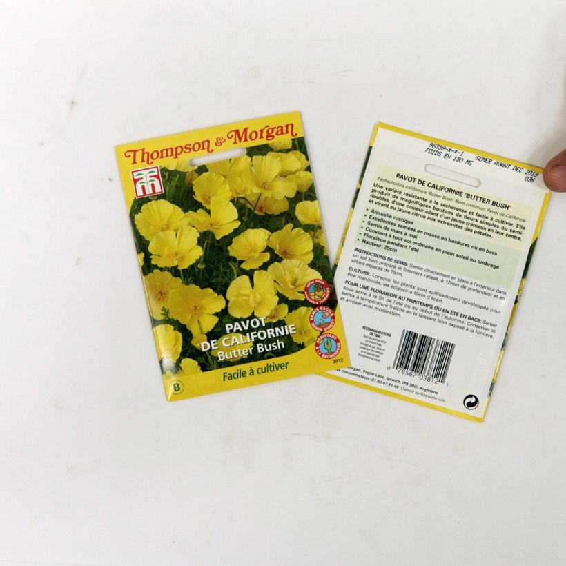 Voorbeeld van een exemplaar van Eschscholzia californica Butter Bush (zaad) – Slaapmutsje het zakje met 350 zaden (0,6g) zoals geleverd