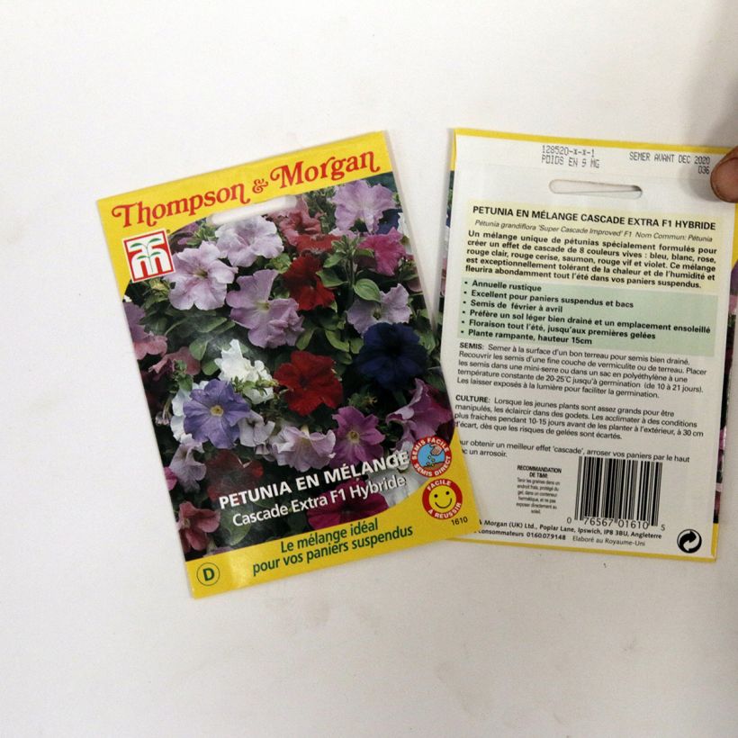 Voorbeeld van een exemplaar van Petunia Cascade Extra (zaad) - Hangpetunia het zakje met 90 zaden zoals geleverd