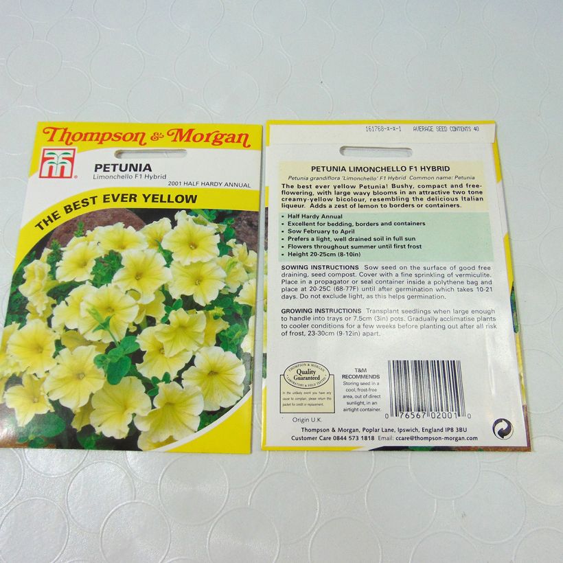 Example of Graines de Pétunia Limoncello F1 die Tüte mit 40 Samen as you get