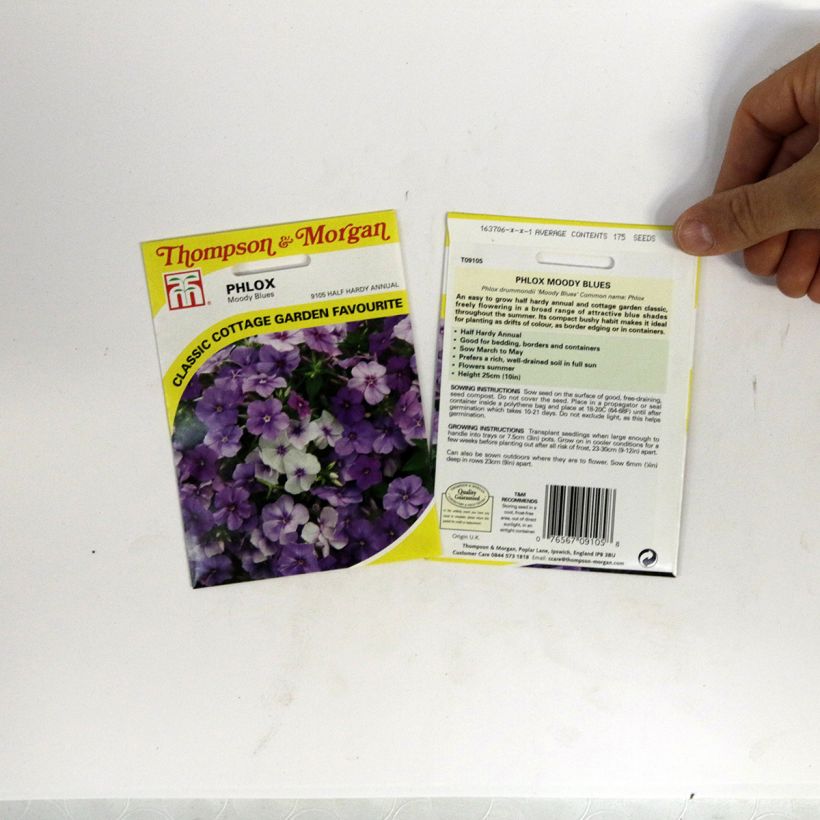 Voorbeeld van een exemplaar van Phlox drummondii Moody Blues (zaad) - Eenjarige vlambloem het zakje met 175 zaden zoals geleverd