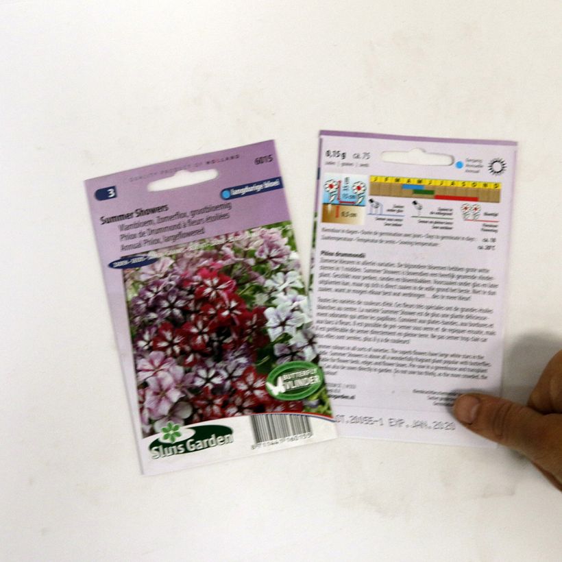 Voorbeeld van een exemplaar van Phlox drummondii Summer Showers (zaad) - Eenjarige vlambloem het zakje met 75 zaden zoals geleverd
