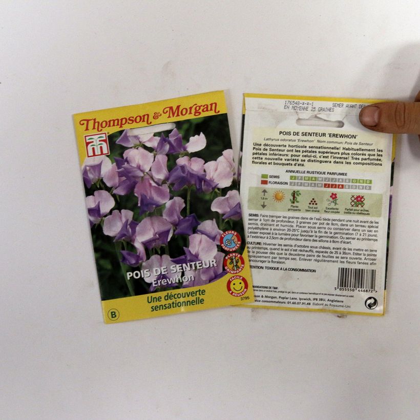 Example of Lathyrus odoratus belinensis Erewhon (zaad) - Siererwt per pack of 25 seeds (2,5g) as you get
