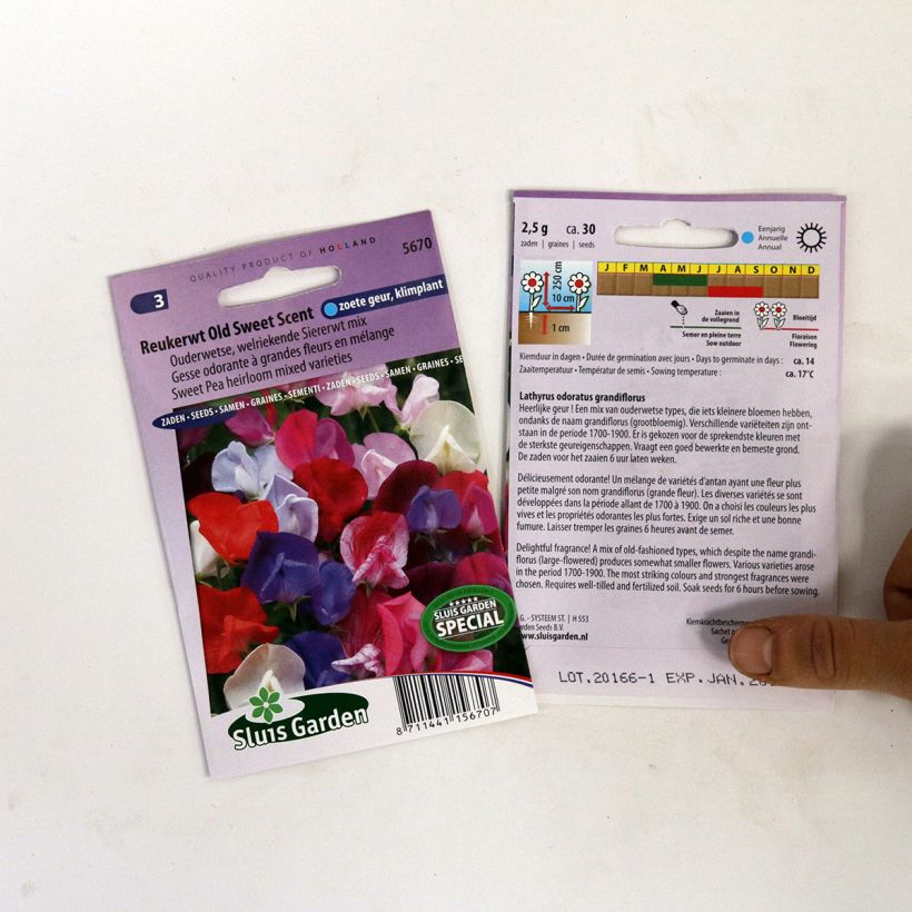 Voorbeeld van een exemplaar van Lathyrus odoratus Old Sweet Scent (zaad) - Siererwt het zakje met 30 zaden zoals geleverd