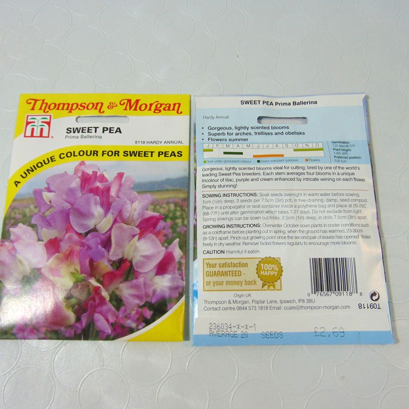 Example of Graines de Pois de Senteur Prima Ballerina - Lathyrus odoratus per pack of 25 seeds (2,5g) as you get
