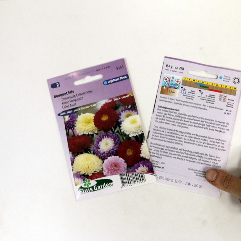 Example of Graines de Reine-marguerite Bouquet en mélange per pack of 300 seeds (0,8g) as you get