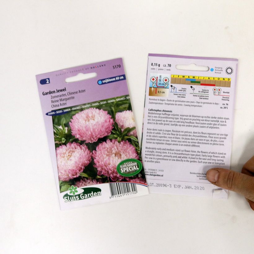 Example of Graines de Reine-marguerite Garden Jewel Rose per pack of 150 seeds (0,4g) as you get