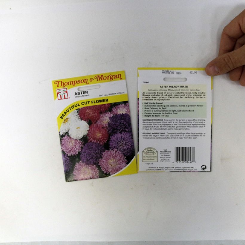 Example of Graines de Reine-marguerite Milady en mélange per pack of 150 seeds (0,4g) as you get