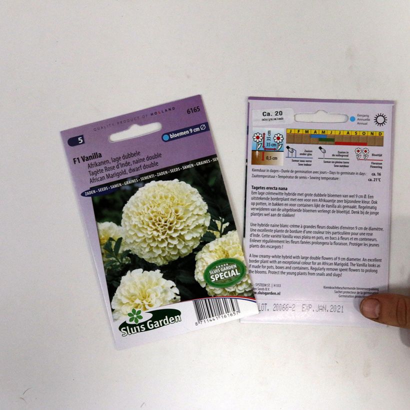 Voorbeeld van een exemplaar van Groot afrikaantje - Tagetes erecta Vanilla (zaad) het zakje met 15 zaden zoals geleverd