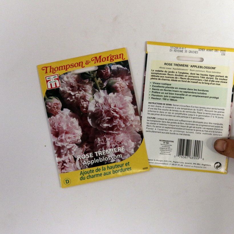 Voorbeeld van een exemplaar van Alcea rosea Appleblossom (zaad) - Stokroos het zakje zaden van 2 gram zoals geleverd