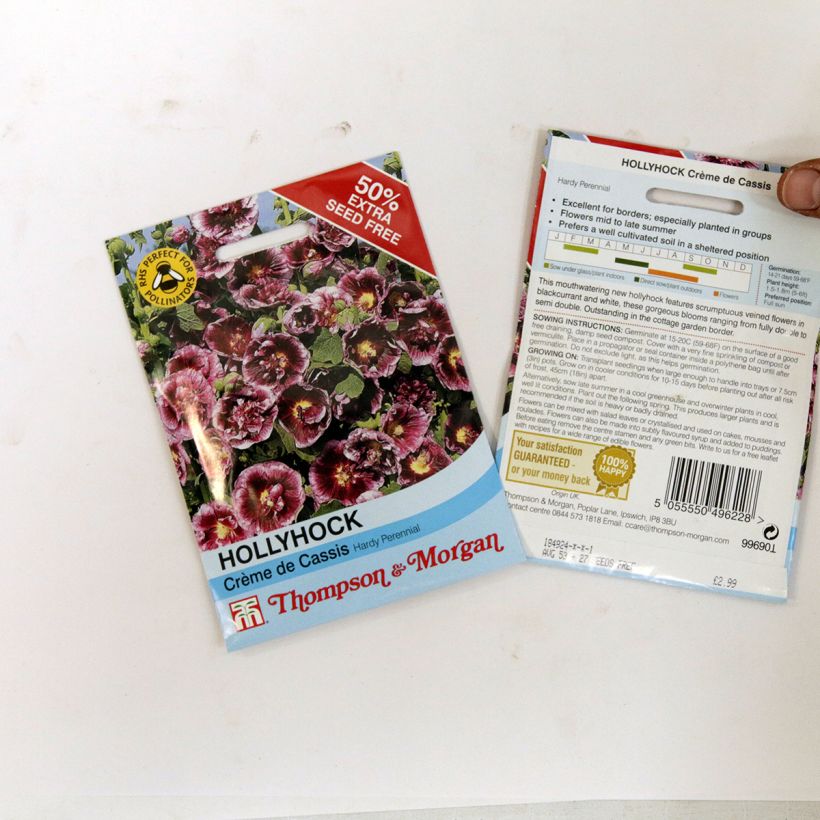 Voorbeeld van een exemplaar van Alcea rosea Crème de Cassis (zaad) - Stokroos het zakje met 20 zaden (0.48g) zoals geleverd