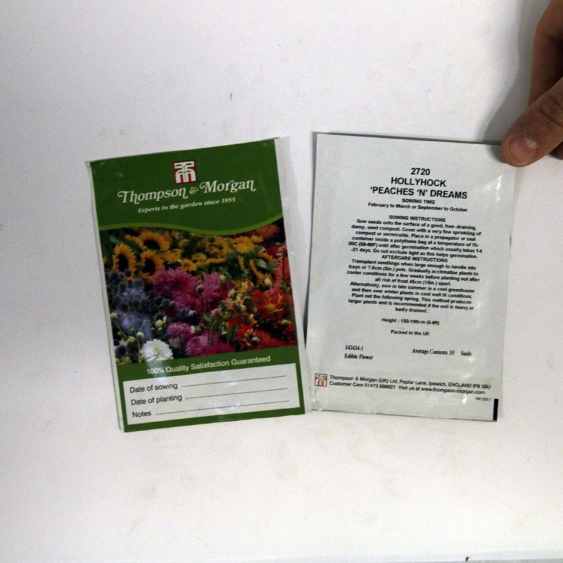 Example of Graines de Rose trémière Peaches N Dreams - Alcea rosea die Tüte mit 100 Samen (1g) as you get