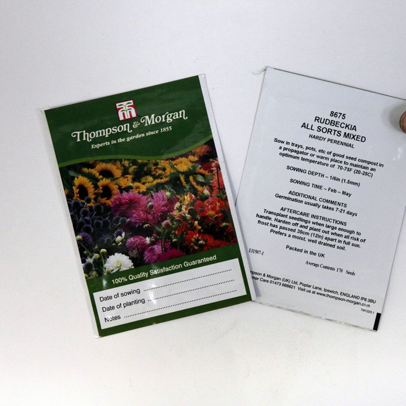 Voorbeeld van een exemplaar van Rudbeckia hirta All Sort Mixed (zaad) - Zonnehoed het zakje met 170 zaden zoals geleverd