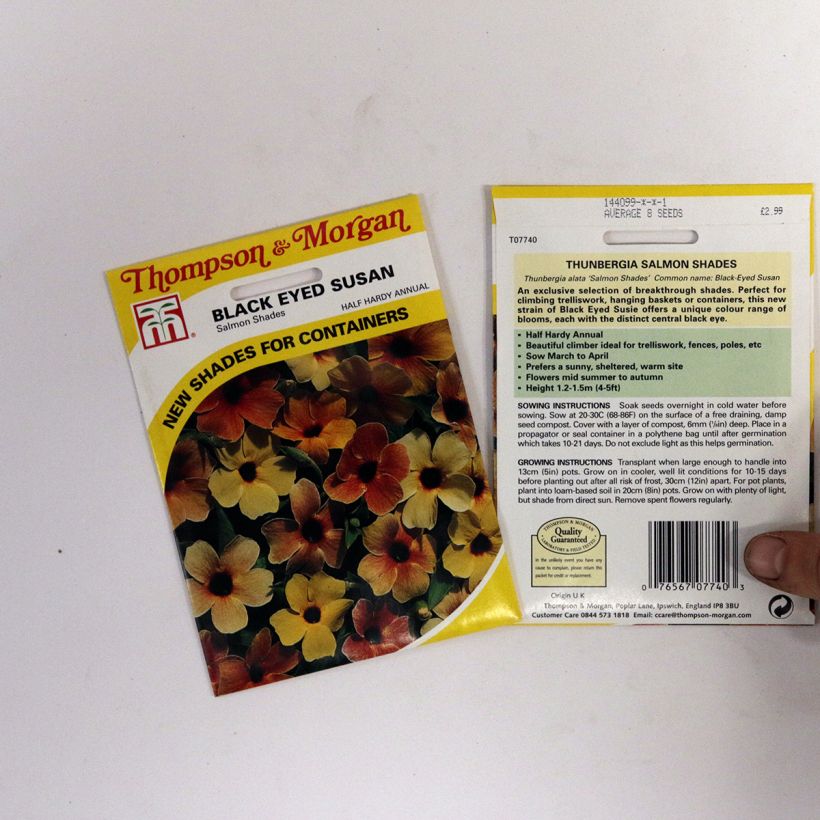 Voorbeeld van een exemplaar van Thunbergia alata Salmon Shades (zaad) - Suzanne-met-de-mooie-ogen het zakje zaden van 2 gram zoals geleverd