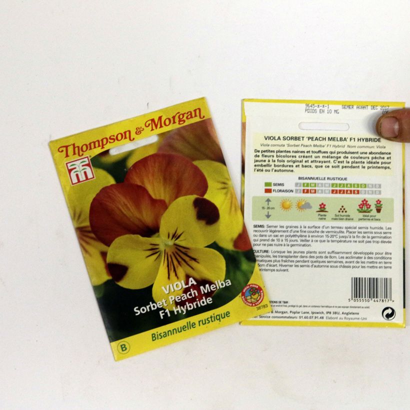 Voorbeeld van een exemplaar van Viola cornuta Sorbet Peach Melba F1 (zaad) - Hoornviooltje het zakje zaden van 2 gram zoals geleverd
