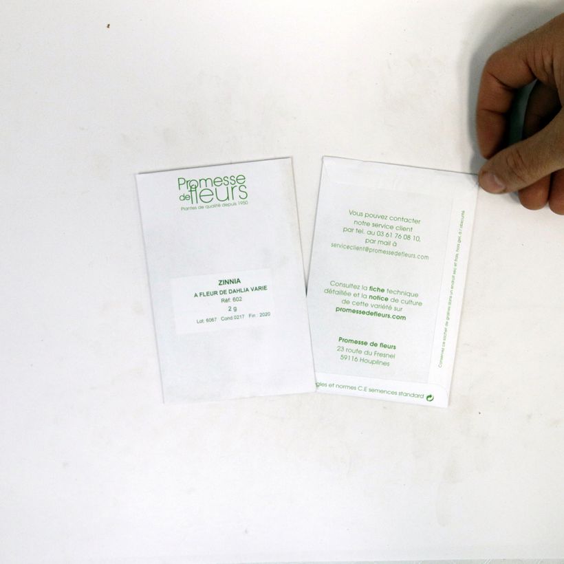 Example of Zinnia elegans Dahlia bloei Mix (zaad) - Zahara-bloem per pack of 200 seeds (2g) as you get