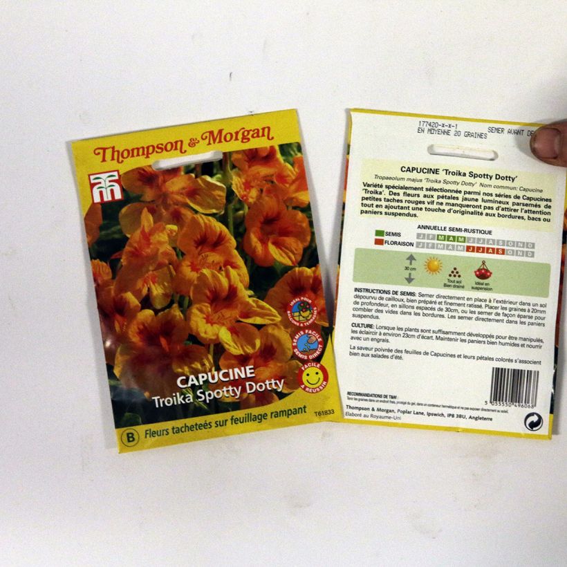 Example of Graines de Capucine naine Troika Spotty Dotty - Tropaeolum majus die Tüte mit 20 Samen as you get