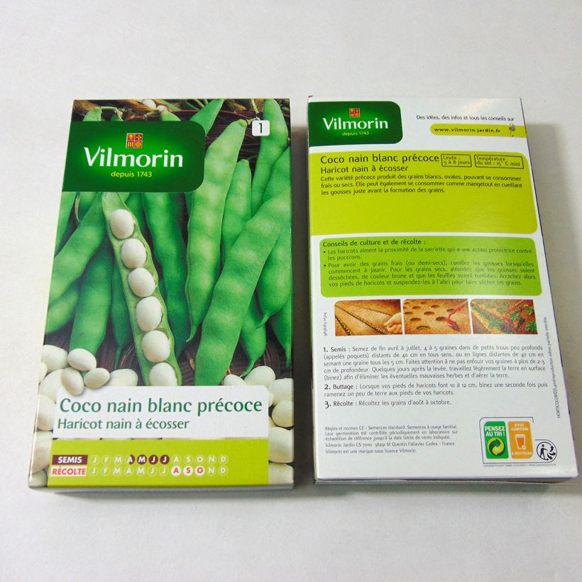 Voorbeeld van een exemplaar van Stamdroogboon Coco Blanc vroeg - Vilmorin het zakje met 400 zaden (200g) zoals geleverd