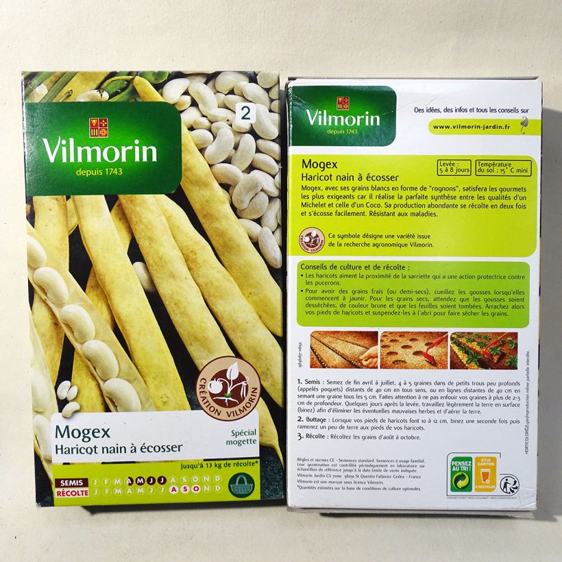 Voorbeeld van een exemplaar van Witte boon Mogex het zakje met 75 zaden (90g) zoals geleverd