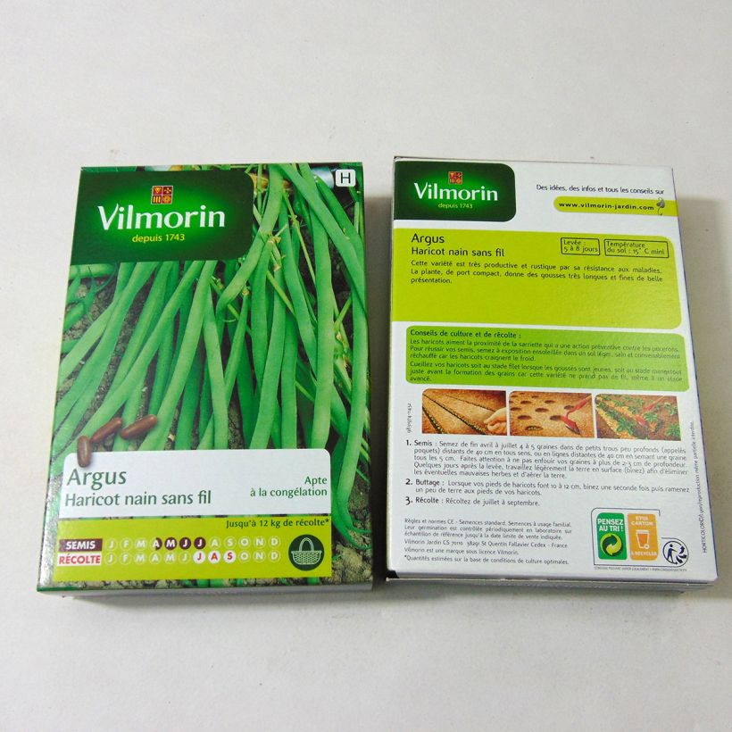 Voorbeeld van een exemplaar van Stamslaboon Argus - Vilmorin het zakje met 200 zaden (100g) zoals geleverd