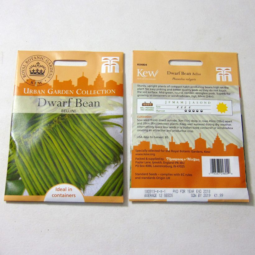 Voorbeeld van een exemplaar van Stamslaboon Bellini het zakje met 12 zaden zoals geleverd