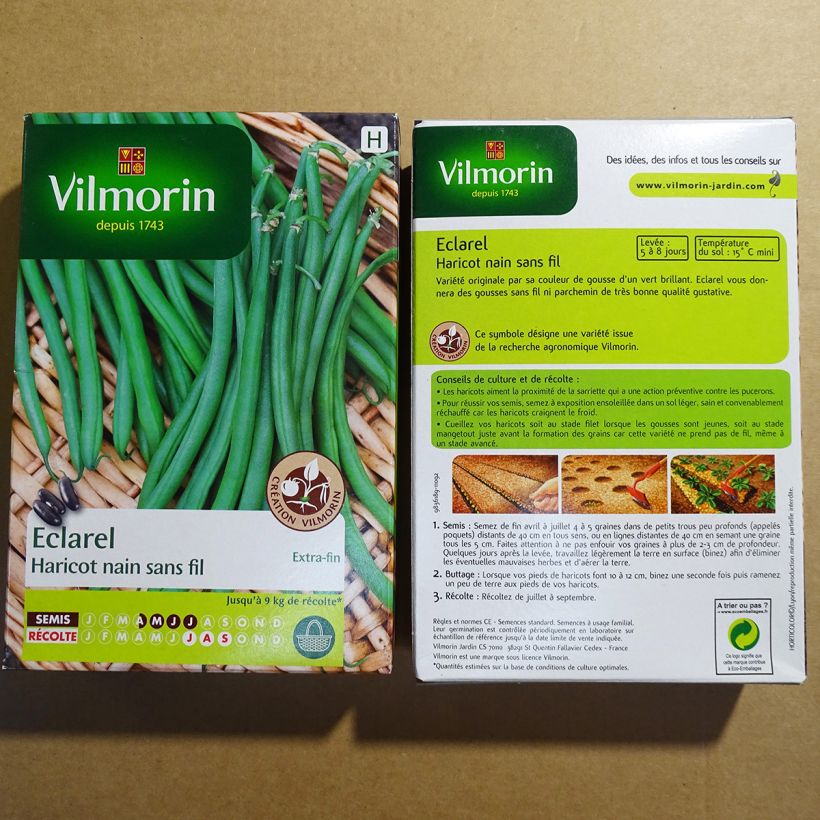 Voorbeeld van een exemplaar van Struikboon Eclarel - Vilmorin het zakje met 200 zaden (100g) zoals geleverd