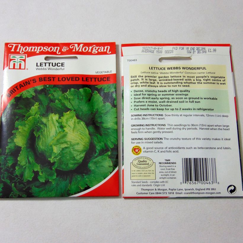 Voorbeeld van een exemplaar van IJsbergsla Webbs Wonderful het zakje met 1500 zaden zoals geleverd