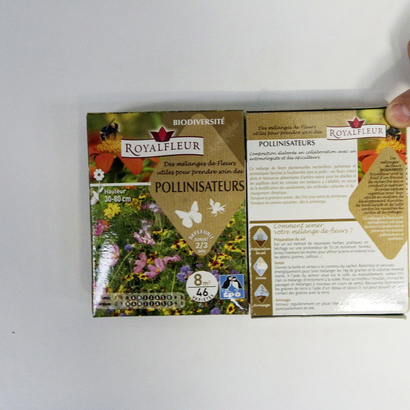 Voorbeeld van een exemplaar van Mengsel voor bestuivers aantrekken - Doos 8 m² het zakje zaden van 14 gram zoals geleverd