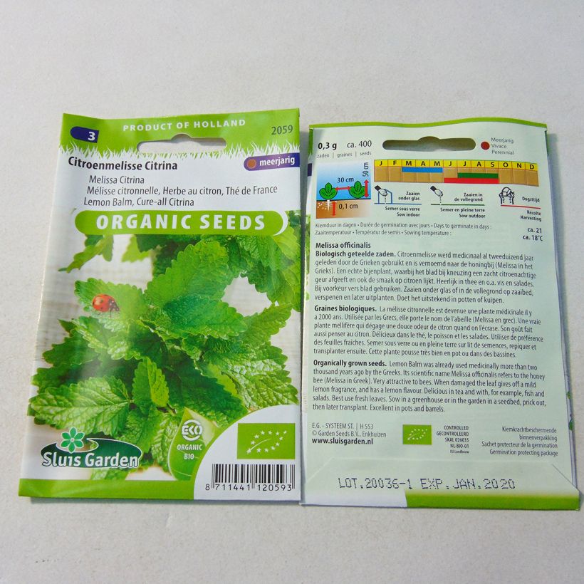 Voorbeeld van een exemplaar van Citroenmelisse BIO - Melissa officinalis (zaad) het zakje met 1000 zaden (0,6g) zoals geleverd