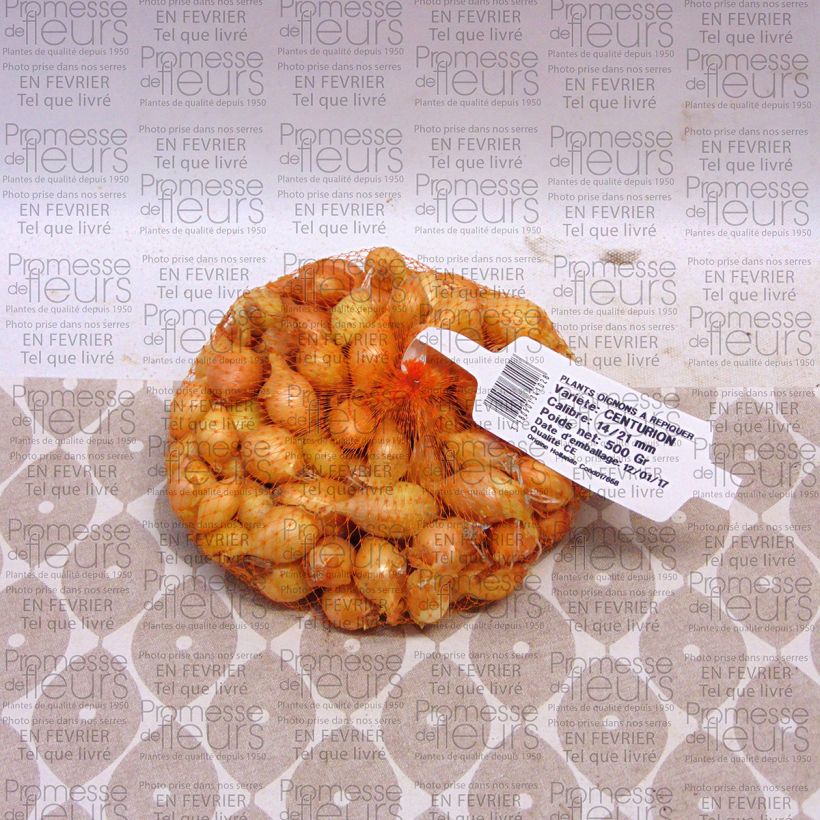 Voorbeeld van een exemplaar van Ui Centurion Stuk kaliber 14/21 mm zoals geleverd