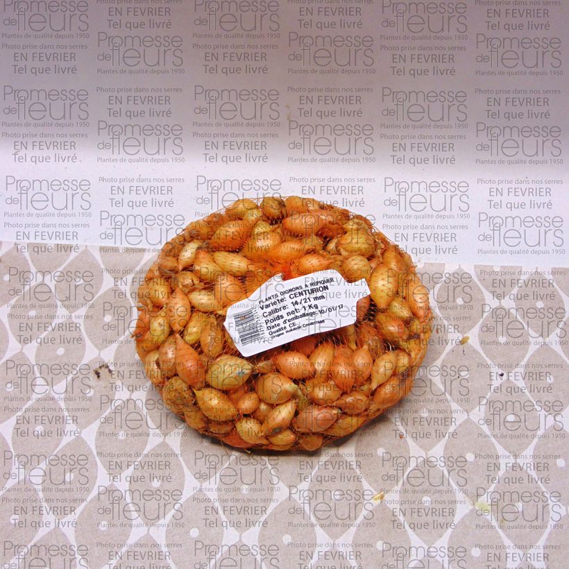 Voorbeeld van een exemplaar van Ui Centurion Stuk kaliber 14/21 mm zoals geleverd