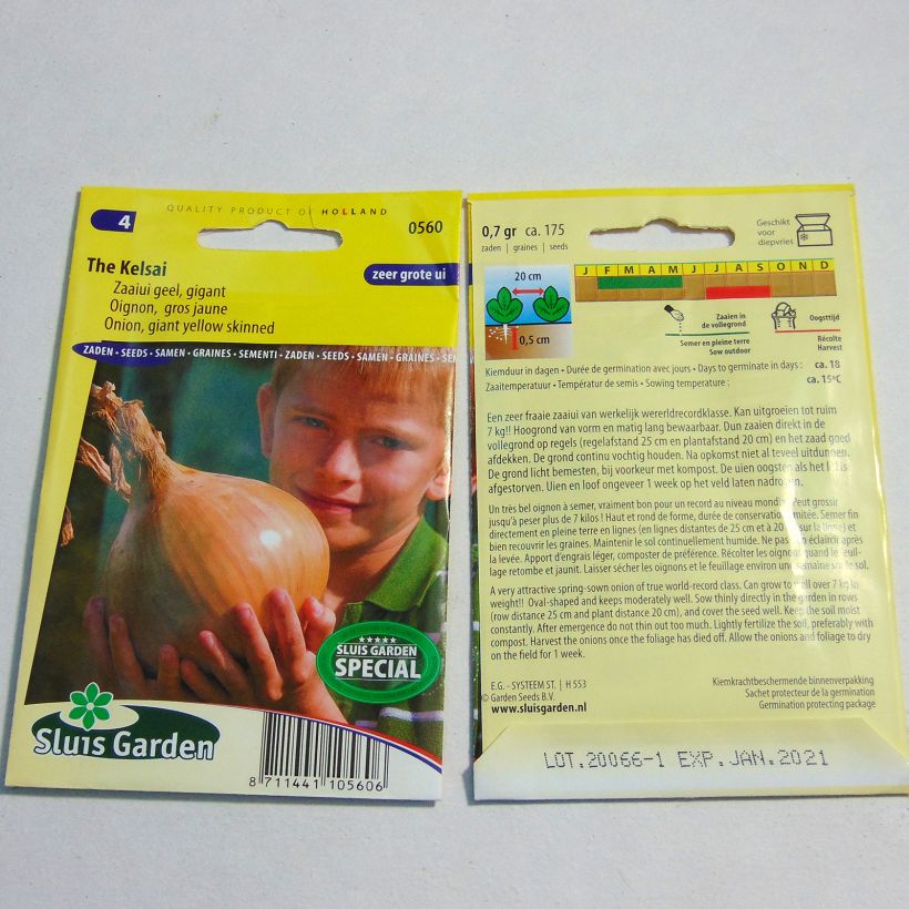 Voorbeeld van een exemplaar van Ui The Kelsae het zakje met 175 zaden zoals geleverd