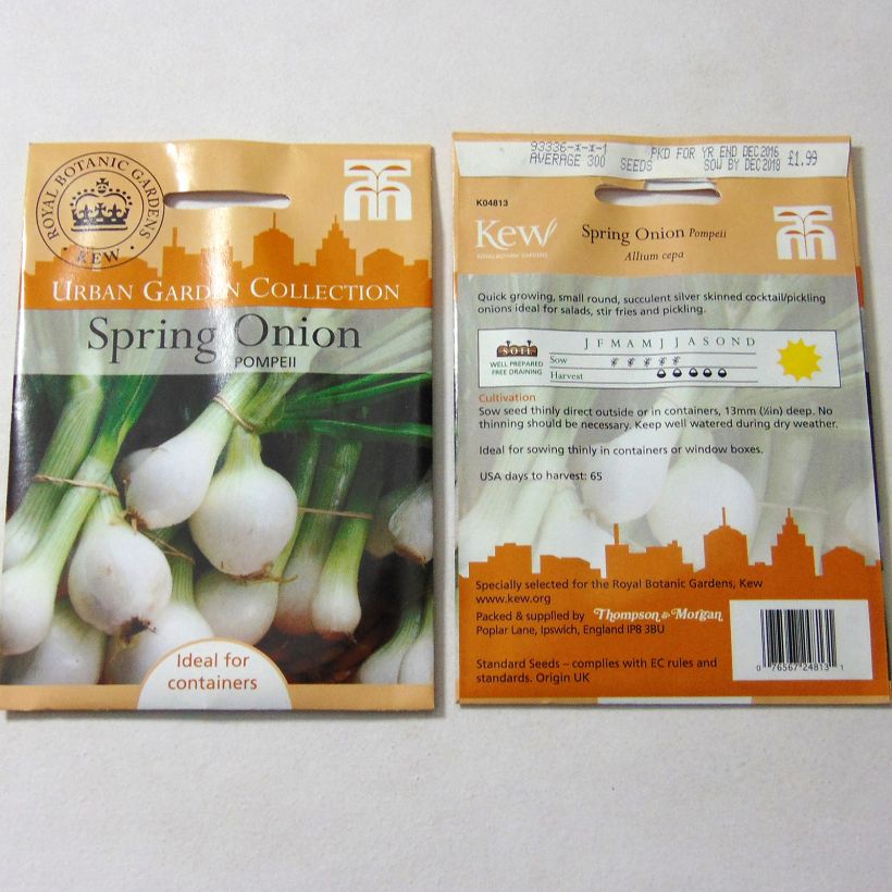 Voorbeeld van een exemplaar van Witte ui Pompeii het zakje met 300 zaden zoals geleverd