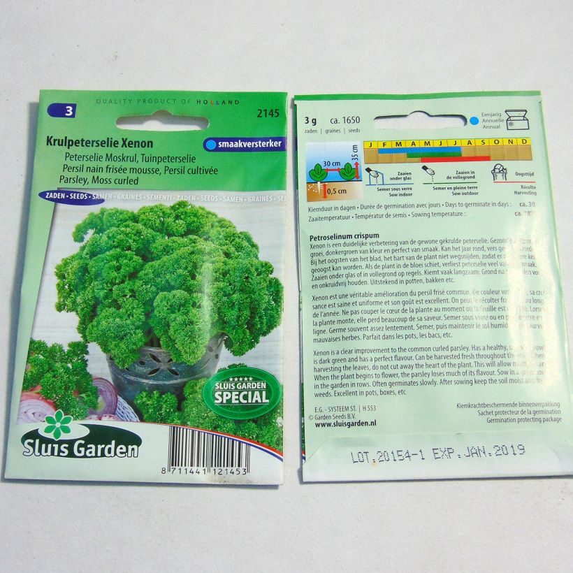 Voorbeeld van een exemplaar van Krulpeterselie Wega het zakje met 1650 zaden (3g) zoals geleverd