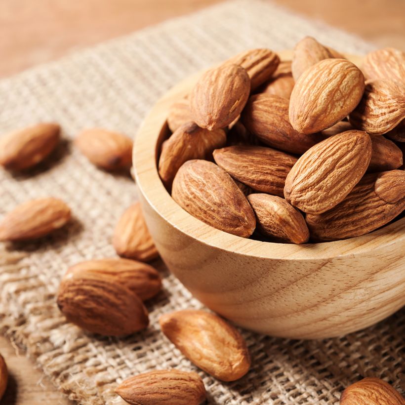 Amandelboom Desmayo Largueta (Oogst)