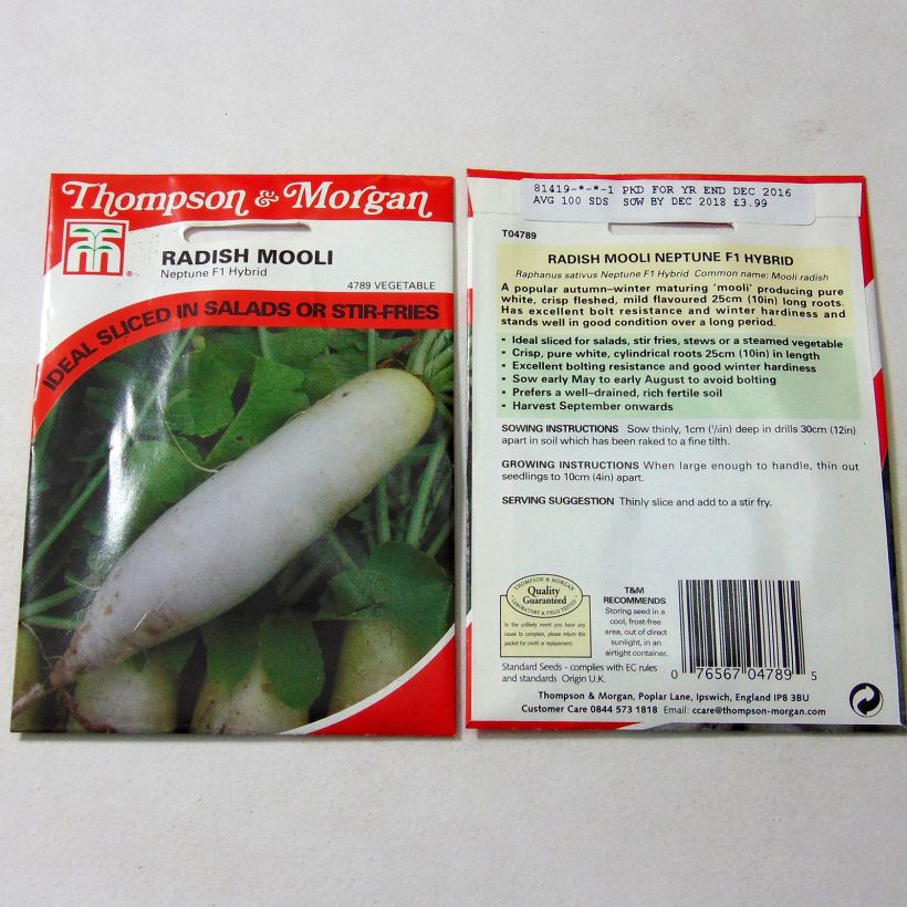 Voorbeeld van een exemplaar van Daikon Neptune F1 het zakje met 100 zaden zoals geleverd