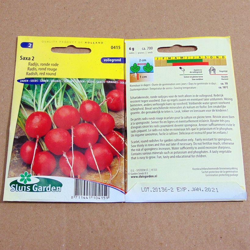 Voorbeeld van een exemplaar van Radijs Ronde rode Saxa 2 het zakje met 700 zaden (6g) zoals geleverd