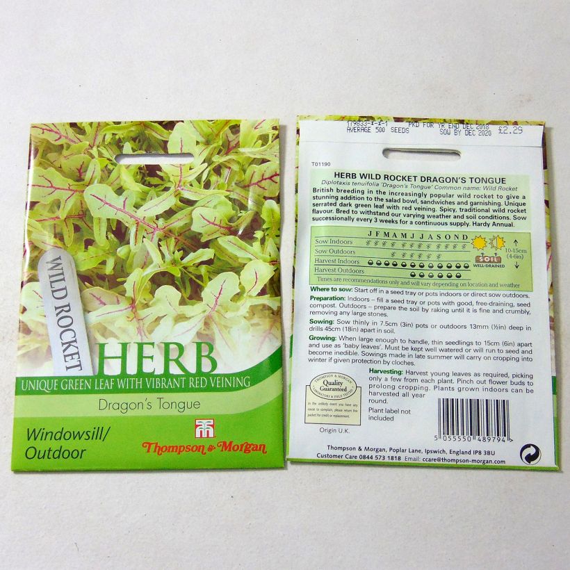 Voorbeeld van een exemplaar van Wilde rucola Dragons Tongue het zakje met 500 zaden zoals geleverd