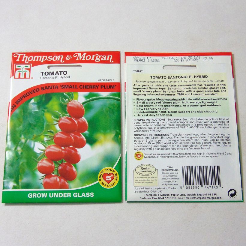 Voorbeeld van een exemplaar van CherrytomaatSantonio F1 het zakje met 6 zaden zoals geleverd