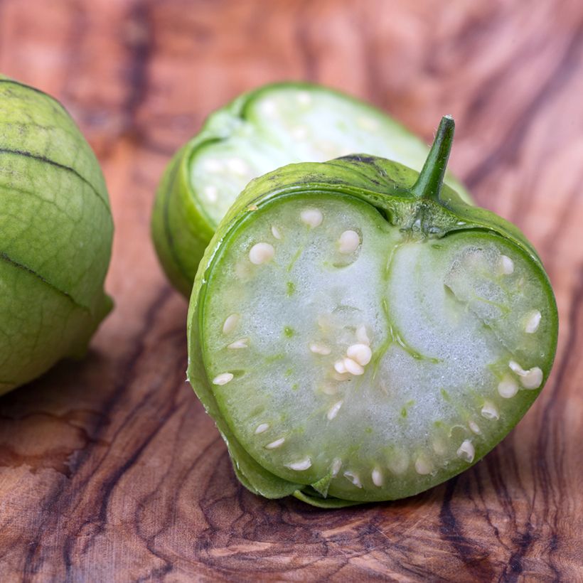 Tomatillo BIO - Ferme de Sainte Marthe (Oogst)