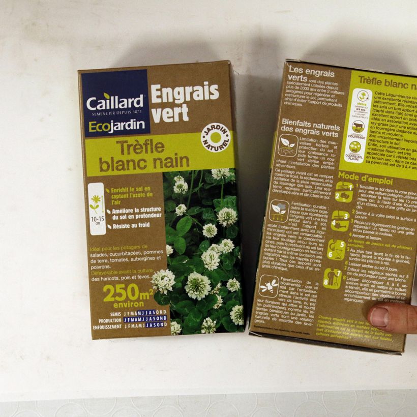 Voorbeeld van een exemplaar van Witte klaver groenbemester Zaden zoals geleverd