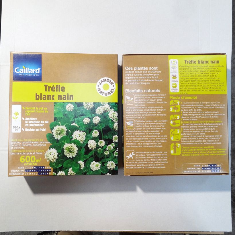 Voorbeeld van een exemplaar van Witte klaver groenbemester Zaden zoals geleverd